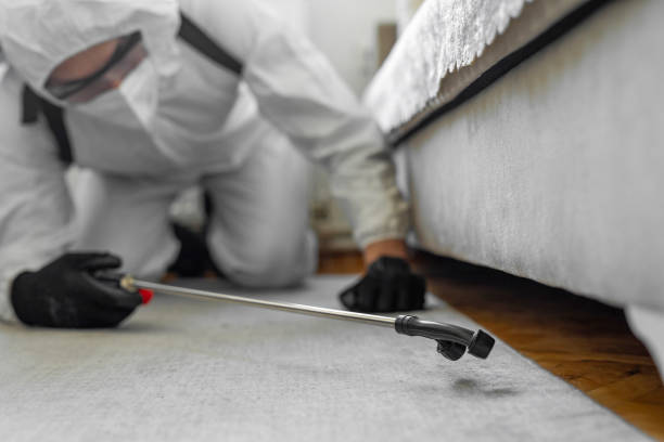 Professional Bed Bug Control technician working in Merced, CA