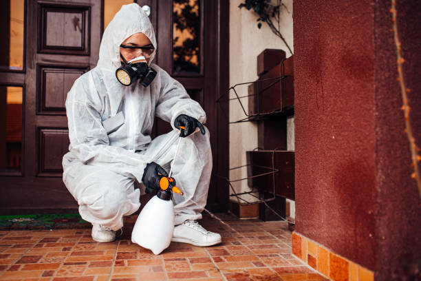 Reliable Bed Bug Control contractor in Merced, CA by Nex Pest Control